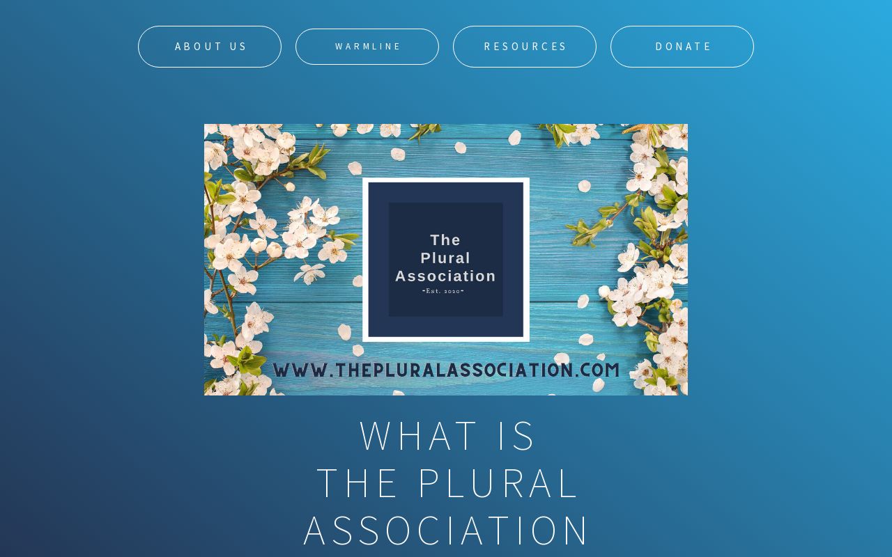 The Plural Association